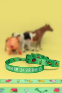 Producto: Pulsera Veterinari@ con superpoderes - Marronynegro
